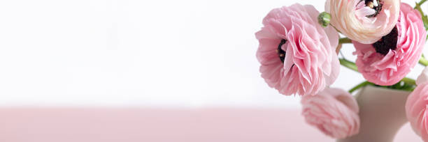 istock Tender ranunculus flowers in ceramic vase 1365483158