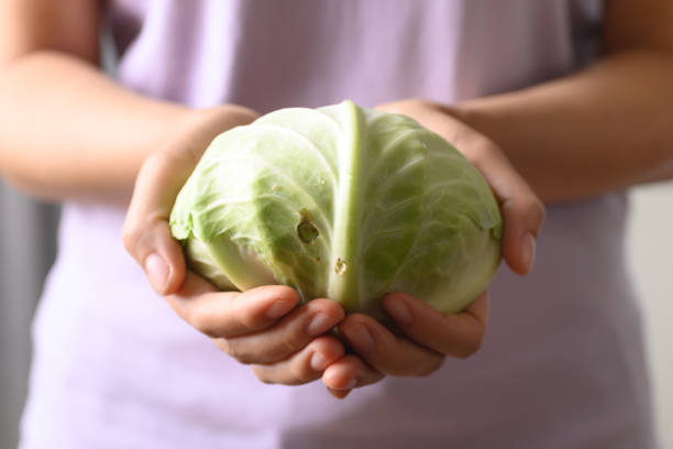 istock Organic cabbage holding by woman hand 1365497738