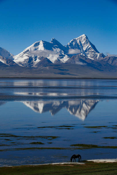 竹木ラジ山 - glacier himalayas frozen lake ストックフォトと画像