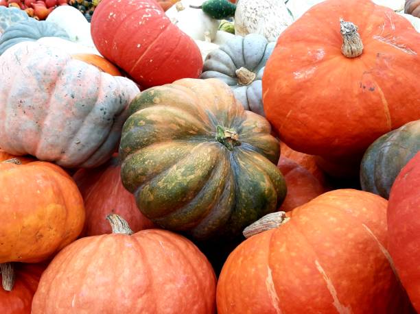 istock Colorful pumpkins in a market 1365503414