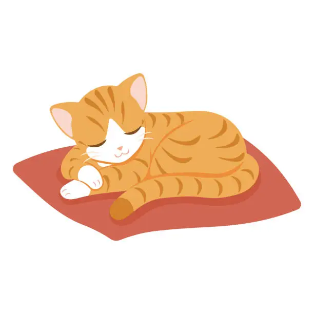 Vector illustration of Yellow cute striped cat sleeping curled on rug.