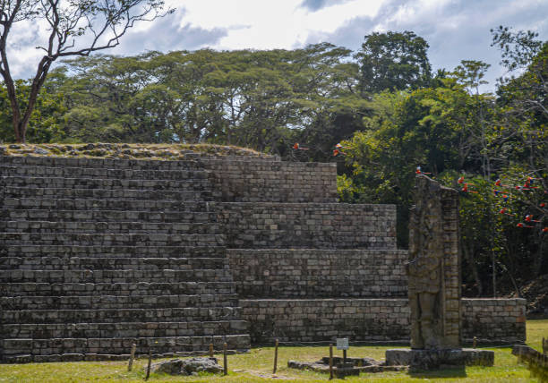istock Scarlet Macaws flying over Mayan Ruins 1365509647