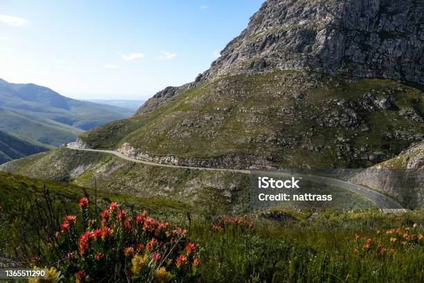 Road Going Over A High Mountain Pass Stock Photo - Download Image Now - George - South Africa, South Africa, Landscape - Scenery