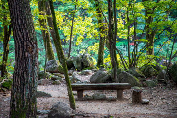 istock The bench in Mt. Seoraksan 1365511988
