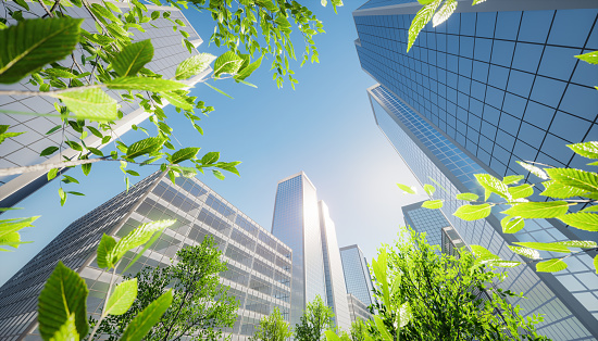 3d rendering of high building or skyscraper in city or downtown. That is real estate, property, house or residential. Include green leaf of tree, blue sky, sun and sunlight reflection on glass wall or window. Look modern for background, concept of corporate, center of business and finance. Look up and perspective view.