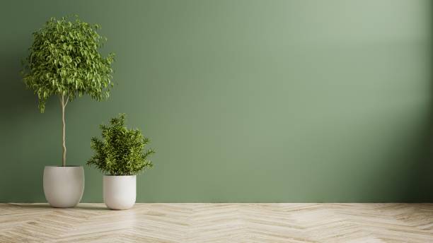 grüne wand leerer raum mit pflanzen auf einem holzboden. - wand stock-fotos und bilder