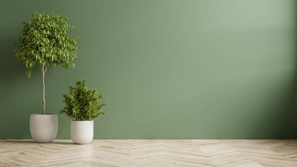 Green wall empty room with plants on a wooden floor. Green wall empty room with plants on a wooden floor.3D rendering unfurnished stock pictures, royalty-free photos & images