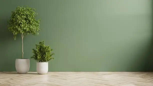 Photo of Green wall empty room with plants on a wooden floor.