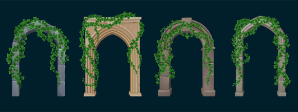 Ancient arches with stone columns and ivy vines Ancient greek or roman arches with stone columns and ivy vines with green leaves. Vector cartoon set of 3d old architecture elements, portals with climbing plants isolated on black background hanging stone stock illustrations