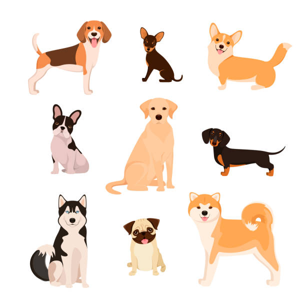 A set of dogs on a white background A set of dogs on a white background. Cartoon design. hound stock illustrations