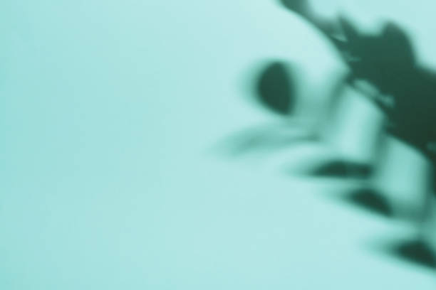 istock Natural leaves shadow on gradient paper background. Abstract blue and mint floral backdrop. Soft light 1365522063