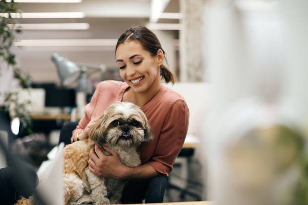 Young businesswoman and her dog enjoying in pet friendly office. Happy businesswoman enjoying with her dog while working in the office. Copy space. pet shop stock pictures, royalty-free photos & images