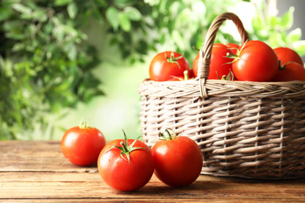свежие спелые красные помидоры на деревянном столе - photography vegetable vine food стоковые фото и изображения