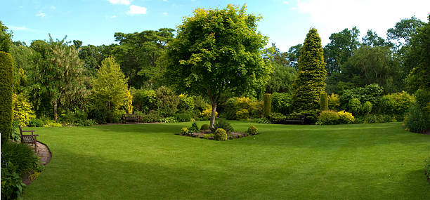 istock Golden Garden 136553415