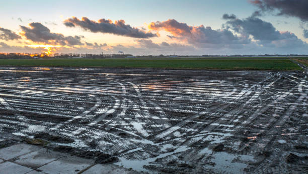 istock fresh ploughed field, the Netherlands 1365534548