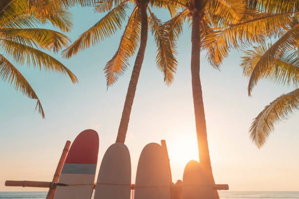istock Surfboard and palm tree on tropical sunset beach abstract background. 1365536076