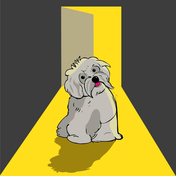 バックライトベクタの茶色の犬は、光でドアを開けます。 - back lit illustrations点のイラスト素材／クリップアート素材／マンガ素材／アイコン素材