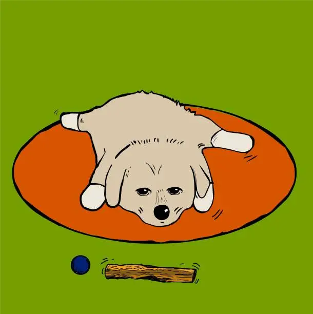 Vector illustration of Puppy of dog Brown dog, Near a stick and a ball.  Illustration in vector