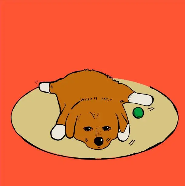 Vector illustration of Puppy of dog Brown dog .  Illustration in vector