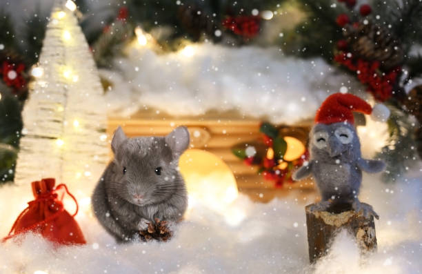 istock Funny little gray chinchilla with a red gift bag 1365537661