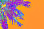 neon purple colored palm tree on orange background