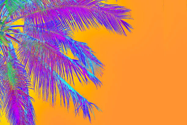 neon purple colored palm tree on orange background Bright purple holographic neon colored palm tree in abstract style on orange background. Night club beach party flyer template with copy space. Retro 60s vibe style creative summer design concept tropical music stock pictures, royalty-free photos & images