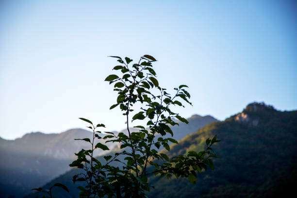 Seoraksan, Gangwon