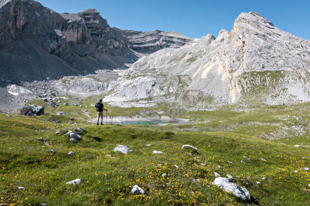istock Hiker standing next to a small mountain lake in the Alps 1365542443