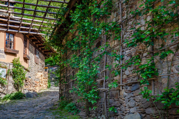 istock Kovachevitsa- Village in Bulgaria 1365544740