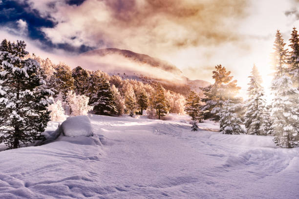 istock Snow Landscape Background with sunrise, Stryn 1365544949