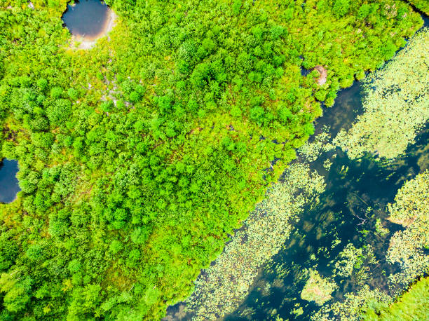istock Krutynia river Masuria, Poland. Aerial view 1365548367