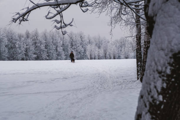 istock Heavy snowfall in Moscow. New Year Eve 1365548770