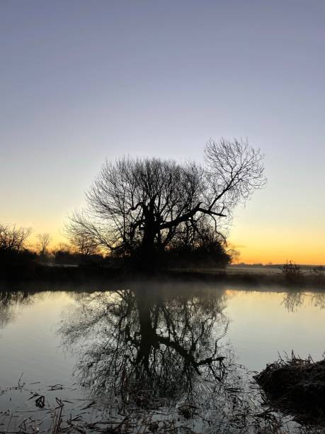 istock River Ouse Reflections Cambridgeshire Sunrise Uk England 1365554533