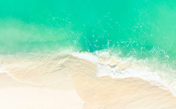 istock Top view the tropical sand beach with a water wave background -Summer season image 1365558083