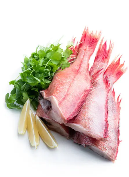 Raw headless  gutted redfish with herbs and lemon isolated on white