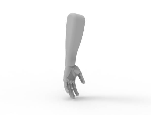 istock 3D rendering of a forearm isolated on white background. 1365559562