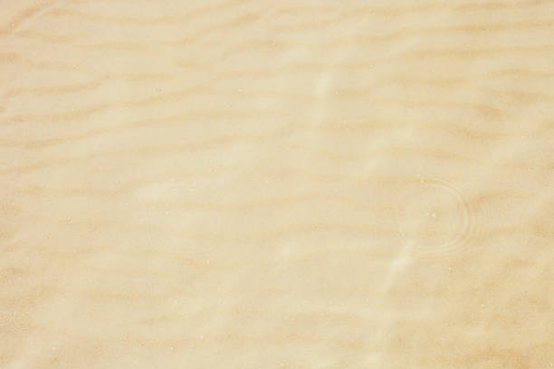 Yellow sand texture in sea. Sandy sea floor and concentric circles on clear water background top view