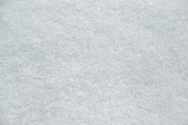 istock Snow background. Freshly fallen snow. Cold frosty weather. White. Winter. 1365564165
