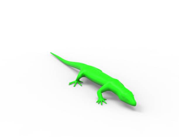 istock 3d rendering of a green lizard isolated in white studio background 1365566513