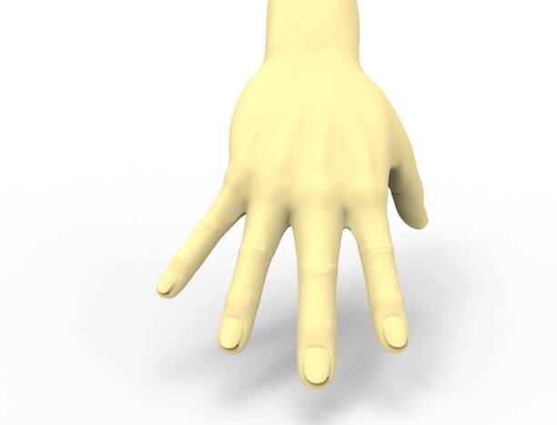 istock 3d rendering of a spread out hand with wrist isolated in white background 1365566514