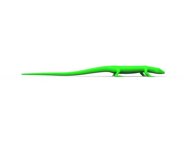 istock 3d rendering of a green lizard isolated in white studio background 1365566579