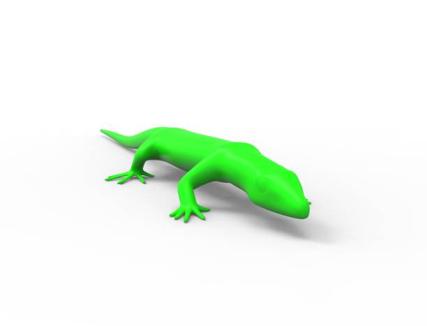 istock 3d rendering of a green lizard isolated in white studio background 1365566581
