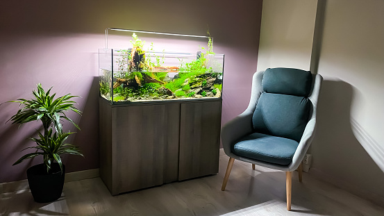 Interiour design with Aquarium in living room