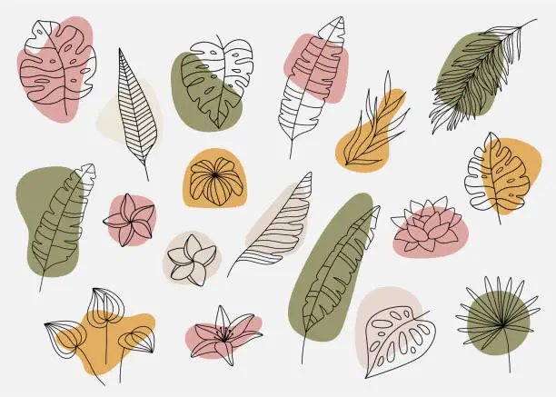 Vector illustration of Set of minimal tropical leaves in line art style. Boho jungle leaf outline.