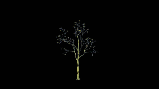 Gold tree timelapse growing, Alpha Channel