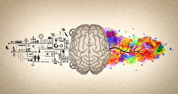 Funciones cerebrales - Ilustración conceptual del cerebro izquierdo y del cerebro derecho photo