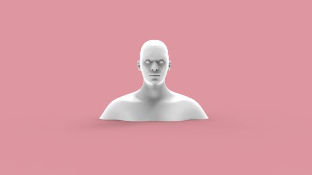 istock 3d rendering of a human model isolated in studio background 1365569199