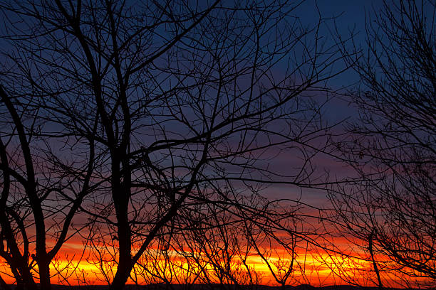 istock Beautiful Colors of sunset. 136556954
