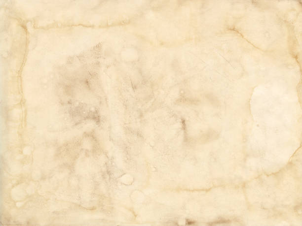 istock Old grunge paper sheet. Parchment texture background 1365570806