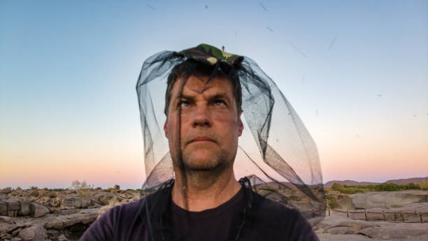 one male portrait with fly net over head looking up at numerous flies circling his head in an arid area at dusk - mosquito mosquito netting protection insect imagens e fotografias de stock